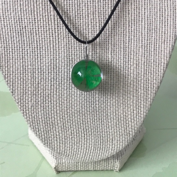 Lucky 4 leaf clover! 🍀 - Picture 1 of 4